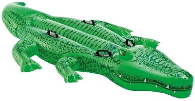 Sainteve Crocadile rider