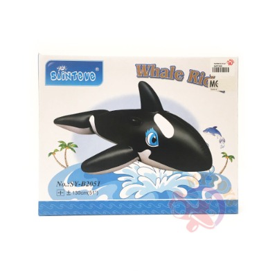 Sainteve Whale Rider