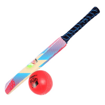 Cricket set