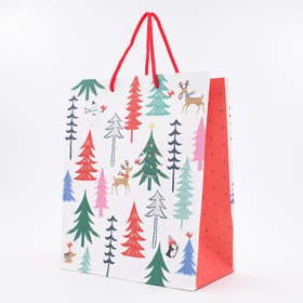 Medium Christmas gift Bag