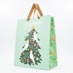 Small  Christmas Gift Bag