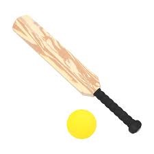 Cricket Bat Set