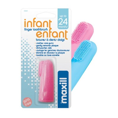 Maxill Infant Brushes