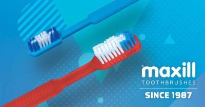 Maxill Toothnbrushes